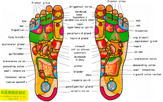 refleksologija stopala